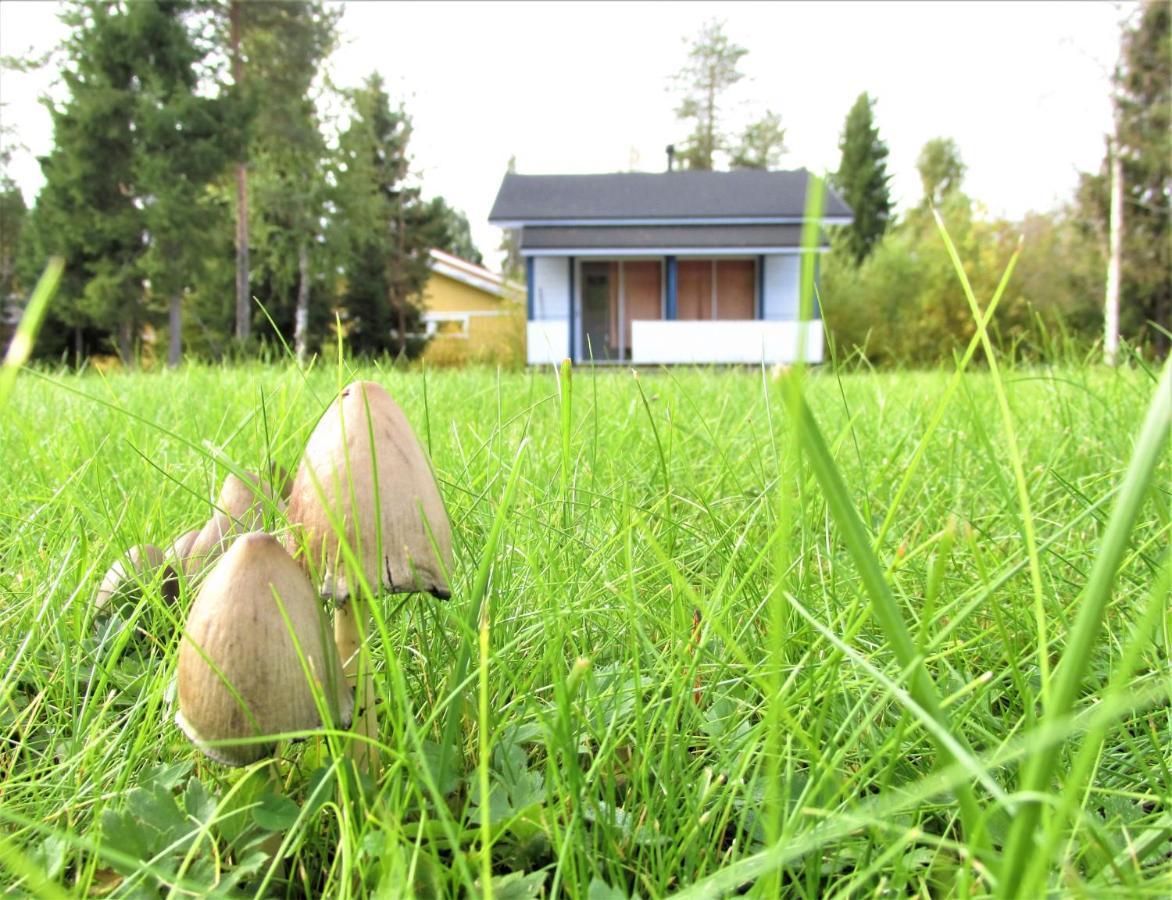 Scandinavian Dream Cottages Vikajarvi- Rovaniemi Luaran gambar