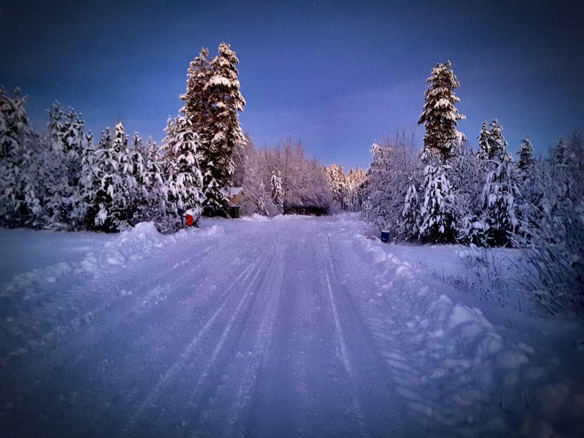 Scandinavian Dream Cottages Vikajarvi- Rovaniemi Luaran gambar